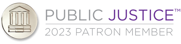 Public Justice 2023 patron member