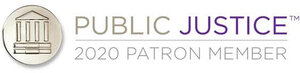 Public Justice 2020 patron member