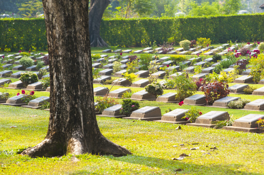 Lines of Hundreds of Graves Among Trees at Kanchanaburi War Cemetery, Thailand, Southeast Asia