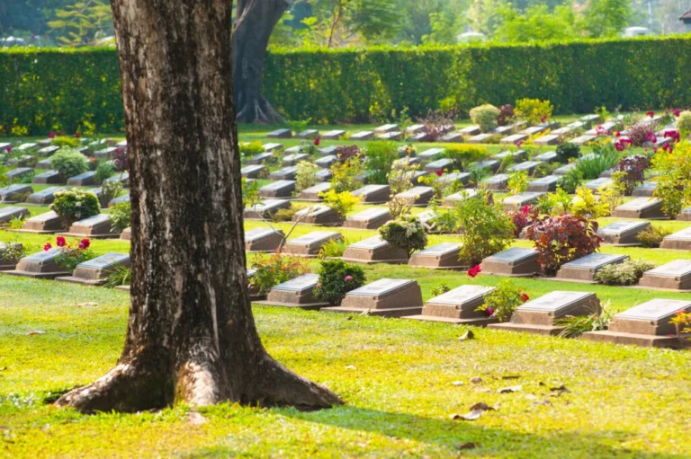Lines of Hundreds of Graves Among Trees